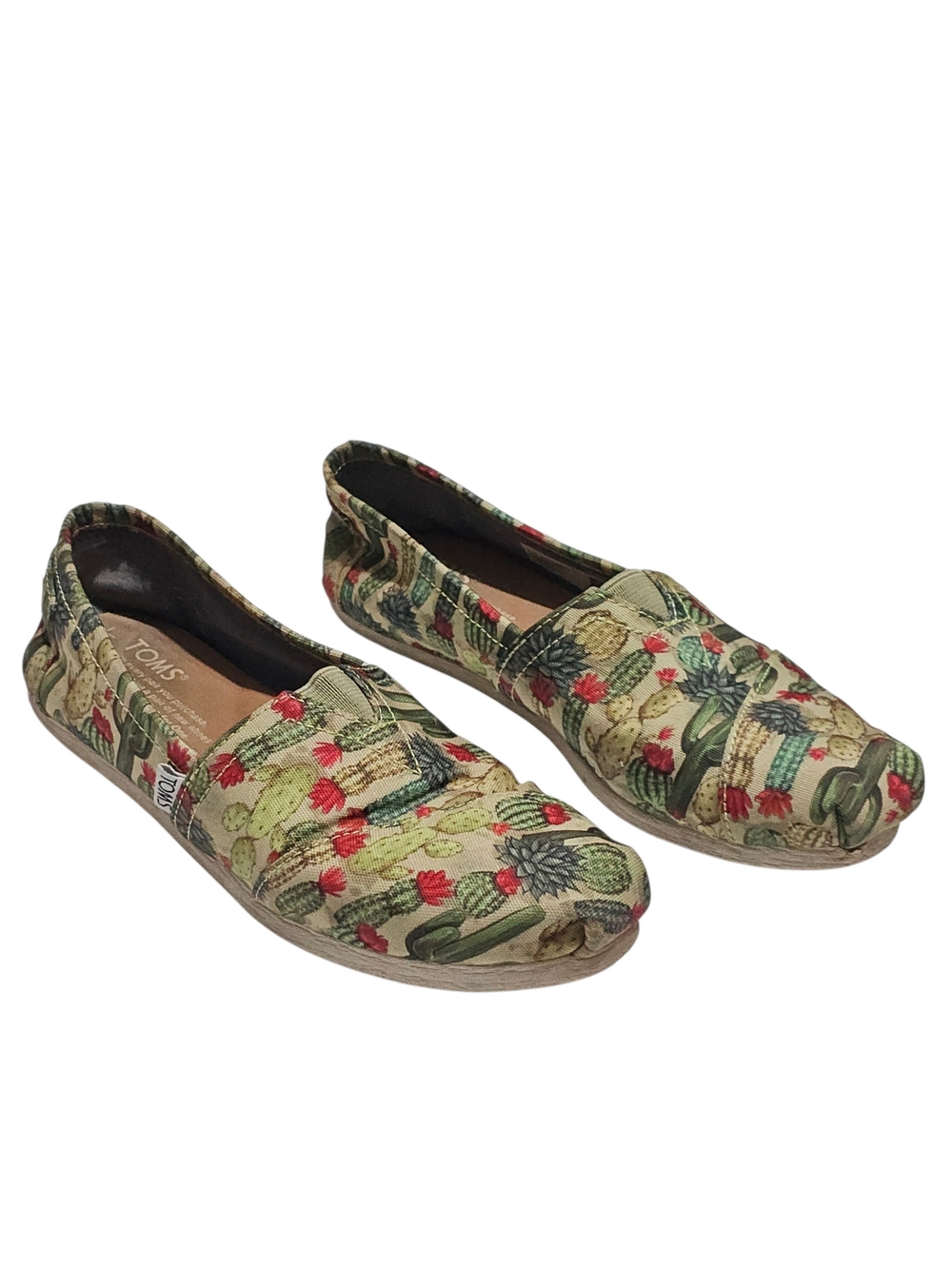 Toms Alpargatas Fern Green Desert Cactus Womens size 6